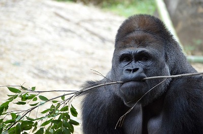 やっちまった速報(最新記事15)