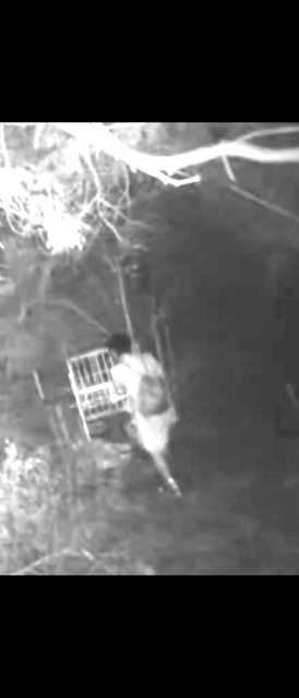 やっちまった速報(画像05152358427378_9)