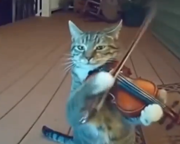 やっちまった速報(最新記事19)