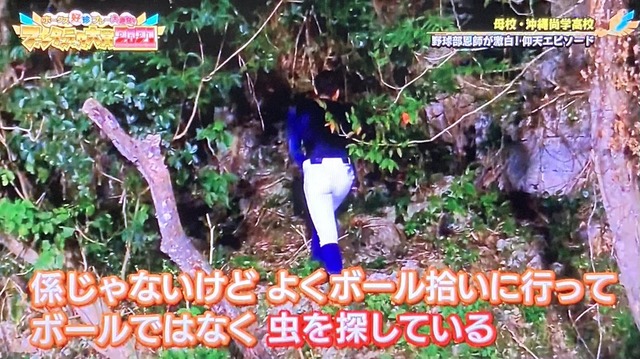 やっちまった速報(画像06050733220102_31)