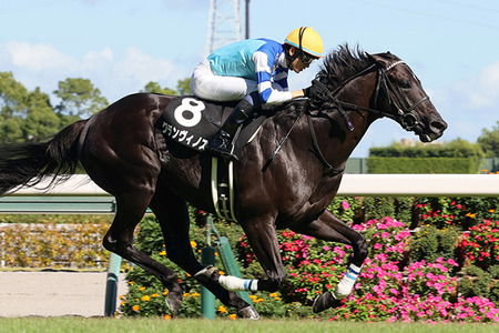 やっちまった速報(最新記事12)