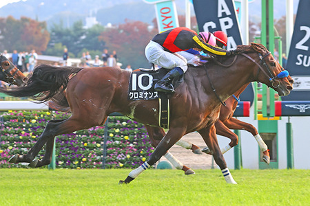 やっちまった速報(最新記事8)