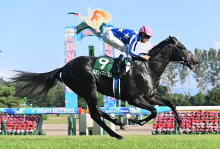 やっちまった速報(最新記事3)