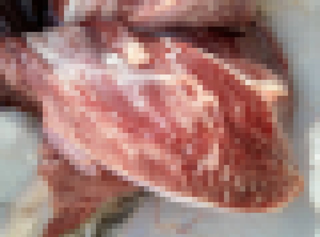 やっちまった速報(画像08184005708334_4)