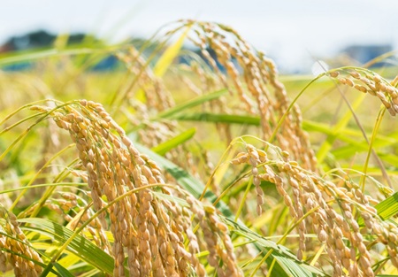 やっちまった速報(画像09041834533449_1) やっちまった速報(画像09041834533449_1)