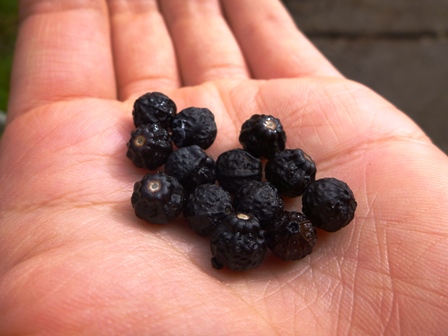 やっちまった速報(画像10032800247742_11) やっちまった速報(画像10032800247742_11)