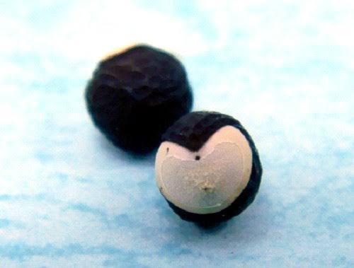 やっちまった速報(画像10032800692749_12)