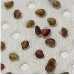 やっちまった速報(画像10032801165837_13)