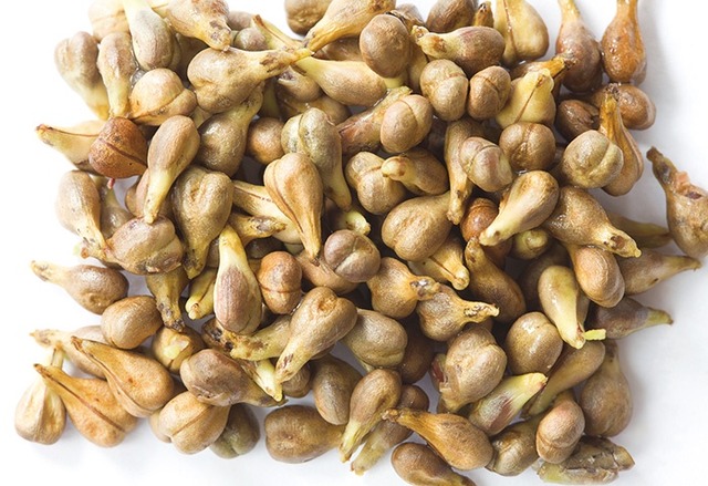 やっちまった速報(画像10032801703413_14)