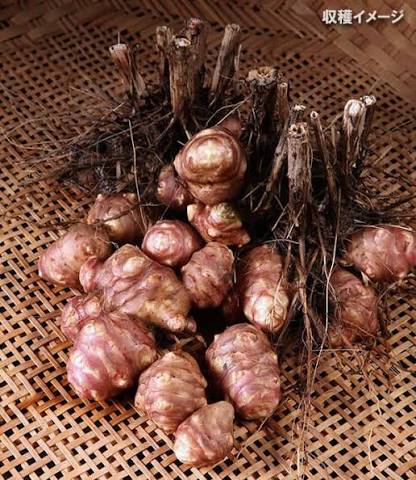 やっちまった速報(画像10032802909722_16)