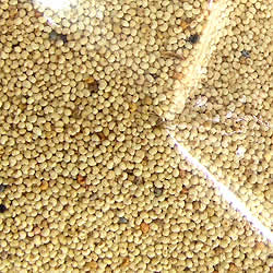 やっちまった速報(画像10032805376105_21)