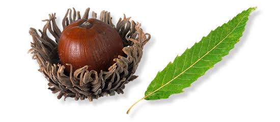 やっちまった速報(画像10032758332245_7)