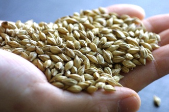 やっちまった速報(画像10032758781978_8)