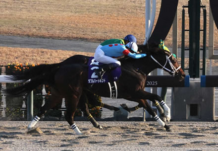 やっちまった速報(ピックアップ4)