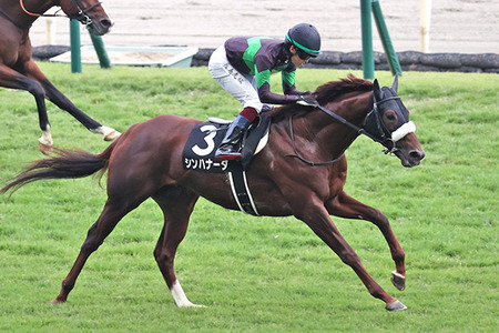 やっちまった速報(最新記事1)