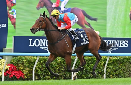 やっちまった速報(最新記事7)