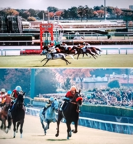 やっちまった速報(画像15143027909051_5) やっちまった速報(画像15143027909051_5)