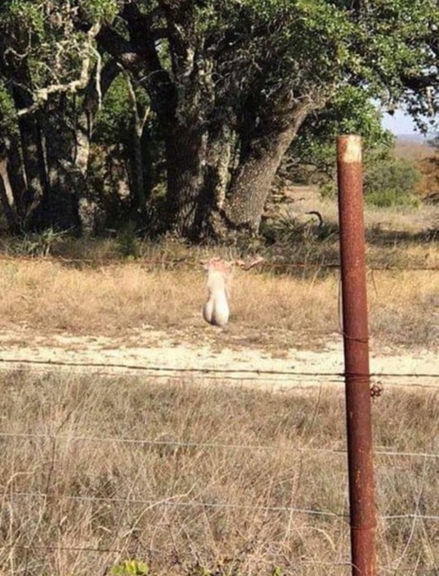 やっちまった速報(画像16143944314798_8)