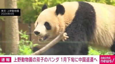 やっちまった速報(最新記事11)