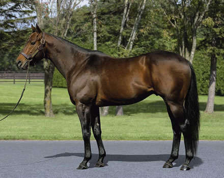 やっちまった速報(最新記事5)