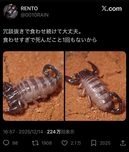 やっちまった速報(画像17010431668658_2)