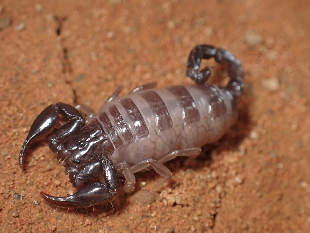 やっちまった速報(画像17010432243406_3)