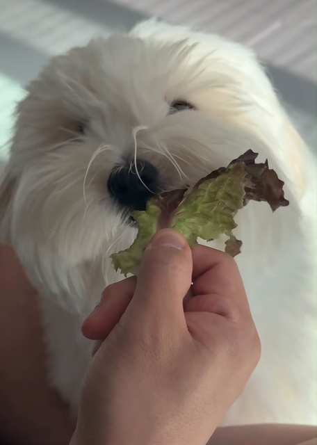 やっちまった速報(画像17010434025304_6)