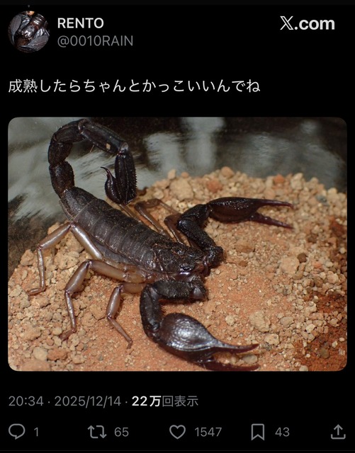 やっちまった速報(画像17010435748943_9)