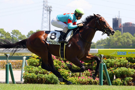 やっちまった速報(最新記事13)