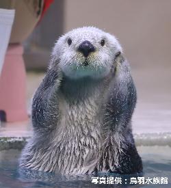 やっちまった速報(画像17155631717679_13)