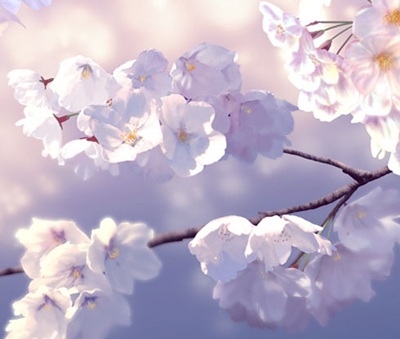 やっちまった速報(最新記事1)