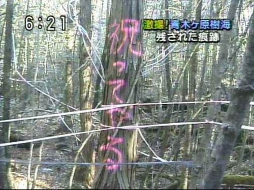 やっちまった速報(画像17230539756963_6)