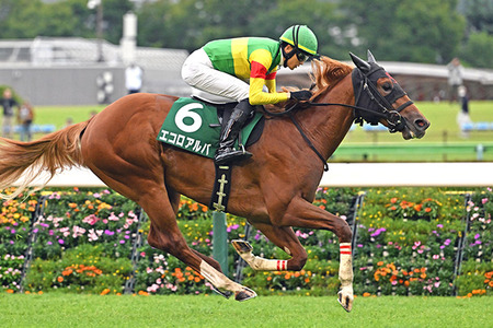 やっちまった速報(最新記事2)