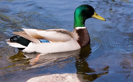 やっちまった速報(最新記事11)