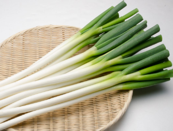 やっちまった速報(最新記事5)