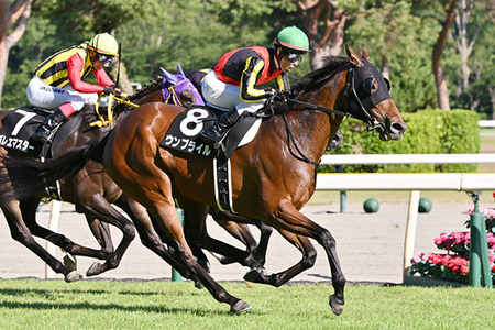 やっちまった速報(最新記事1)