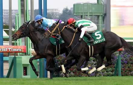 やっちまった速報(ピックアップ7)