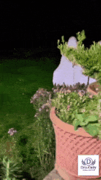 やっちまった速報(画像21212340255503_6)