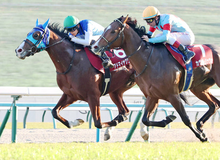 やっちまった速報(最新記事11)