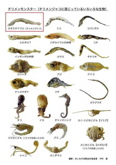 やっちまった速報(画像22143301881687_6)