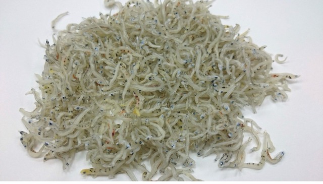 やっちまった速報(画像22143302341556_7)