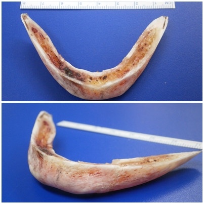 やっちまった速報(画像24125707522852_6)