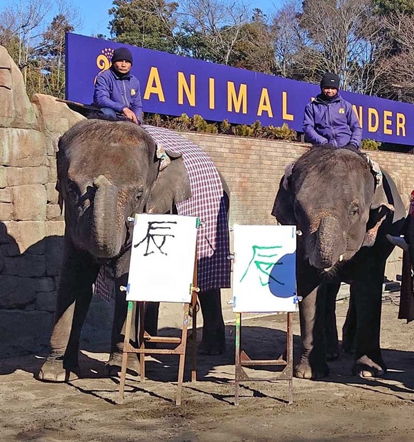 やっちまった速報(画像26034428247419_3)