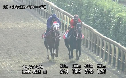 やっちまった速報(最新記事6)