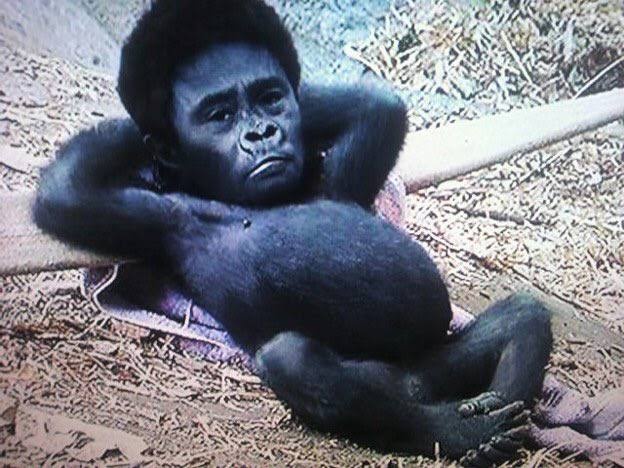 やっちまった速報(画像31210741746291_14)