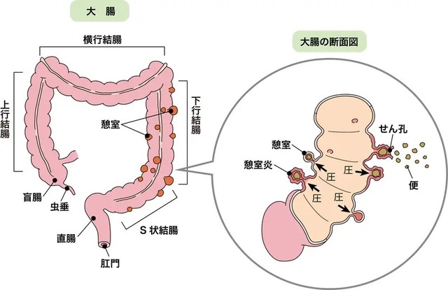 やっちまった速報(画像01061055988207_3)