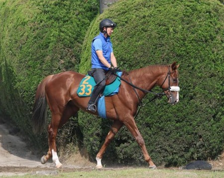 やっちまった速報(最新記事1)