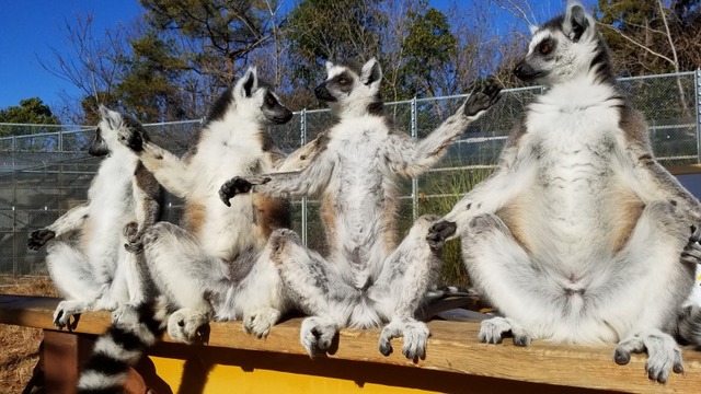 やっちまった速報(画像04121247604218_5)