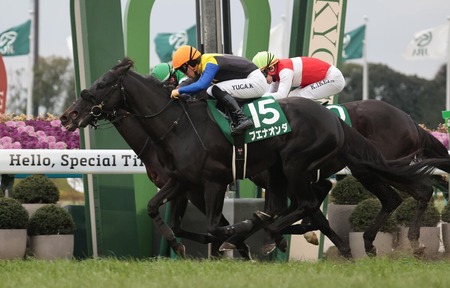 やっちまった速報(最新記事19)