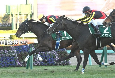 やっちまった速報(最新記事12)